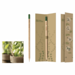 Matita Piantabile in Legno con Confezione Sanremo