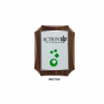 Targa Crest Multiuso Maiorca - immagine 5