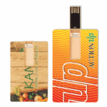 Chiavetta USB Card 16GB Choice
