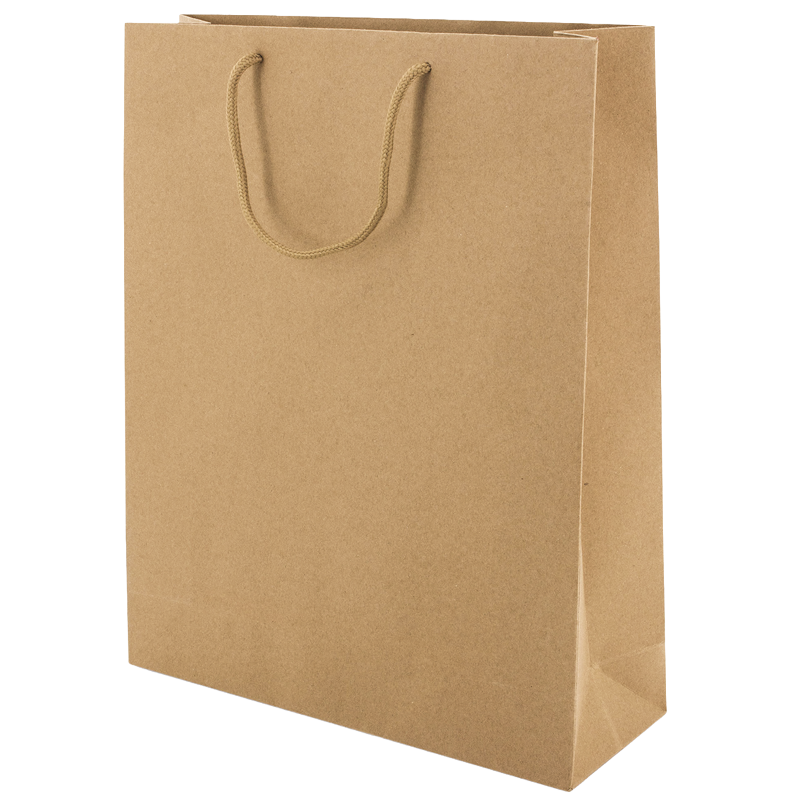 bp3911 Shopper Eco in Cartoncino Rose - immagine 1
